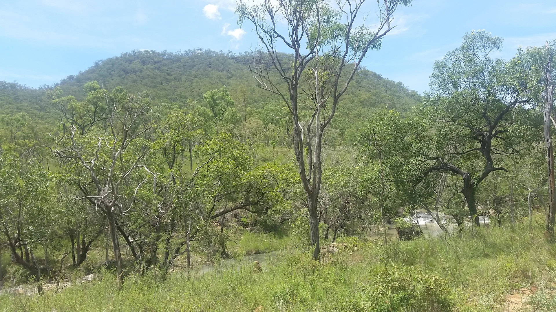 Additional image 12 of Lot 481 Sandy Creek Road, Dimbulah QLD 4872