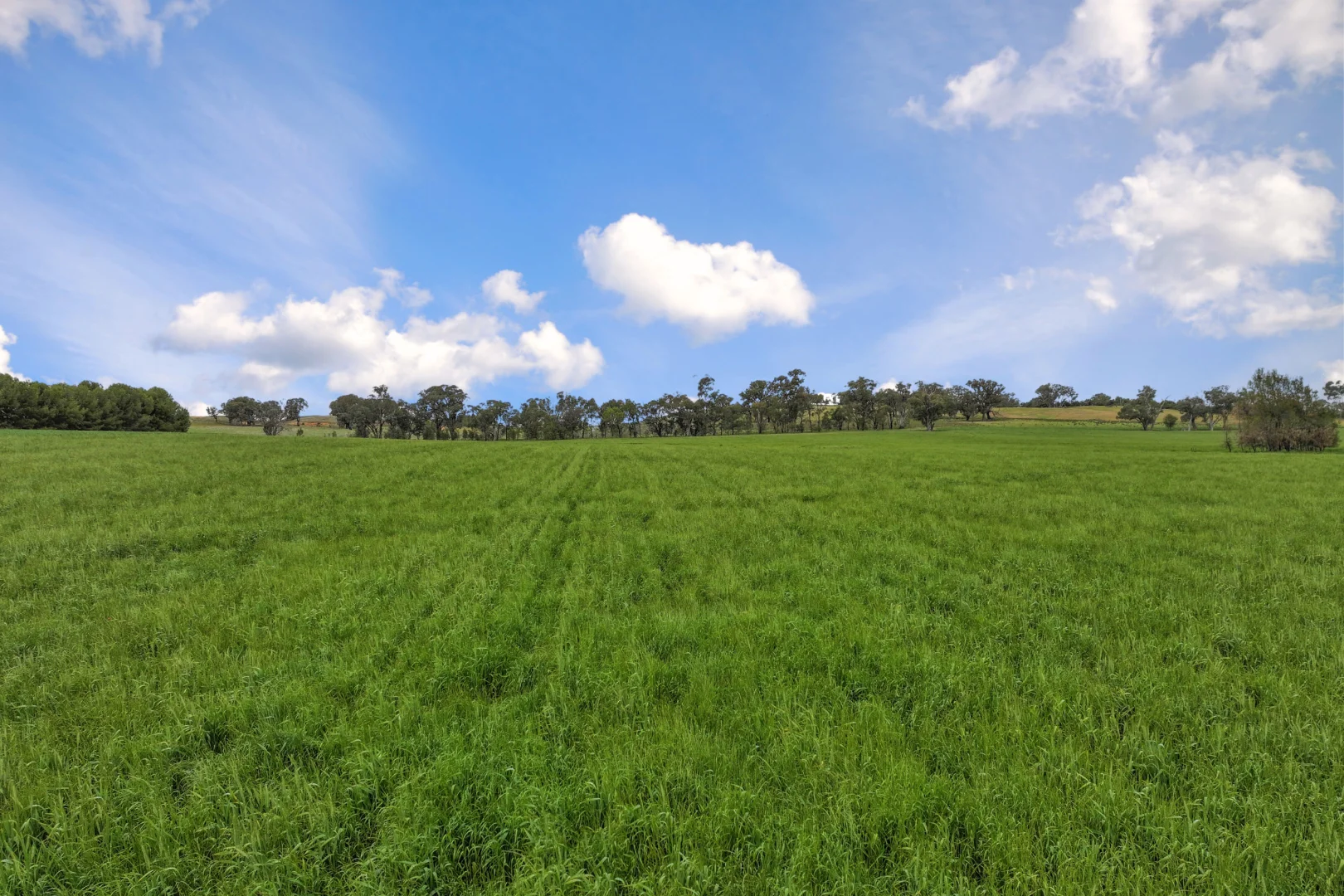 Additional image 5 of "Moura" Waterhole Creek Road, Mandagery NSW 2870