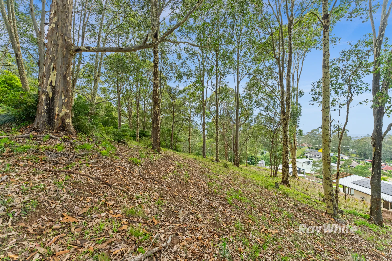 Additional image 3 of 33 Berrima Street, Catalina NSW 2536