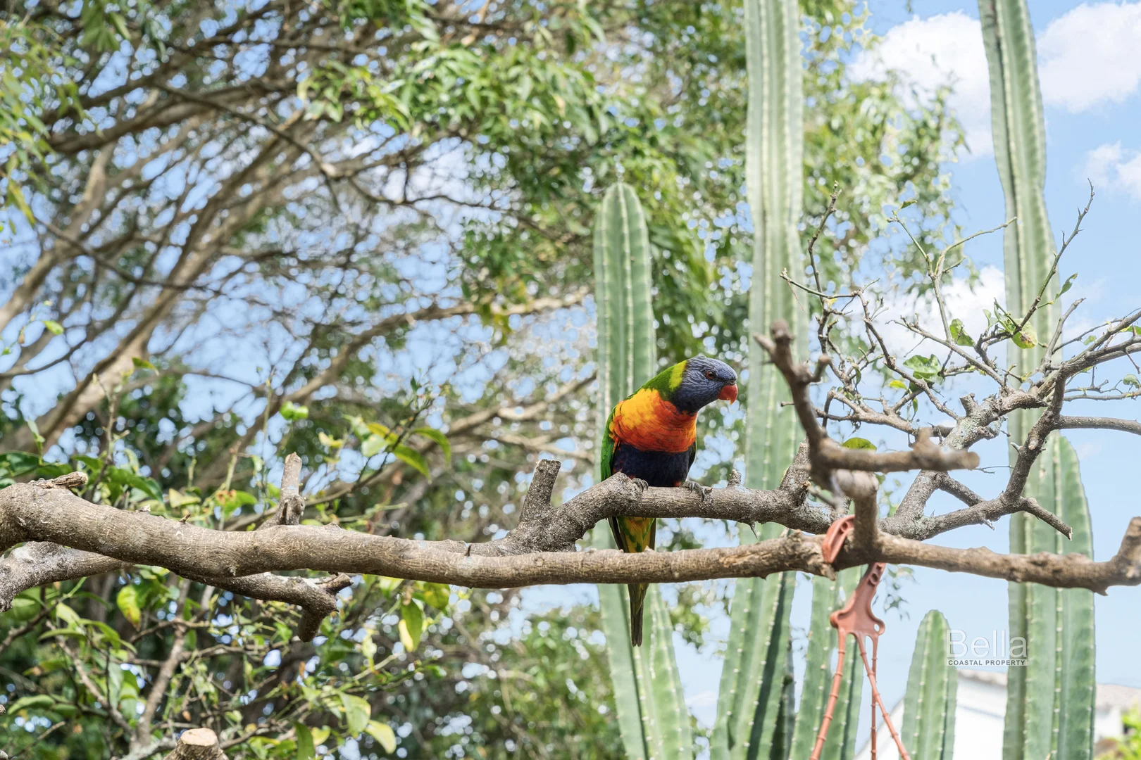 Additional image 23 of 60 Gordon Street, Milton NSW 2538