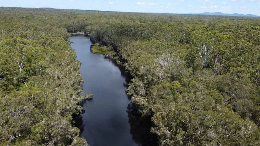 Additional image 12 of 9 Coe Road, Deepwater QLD 4674