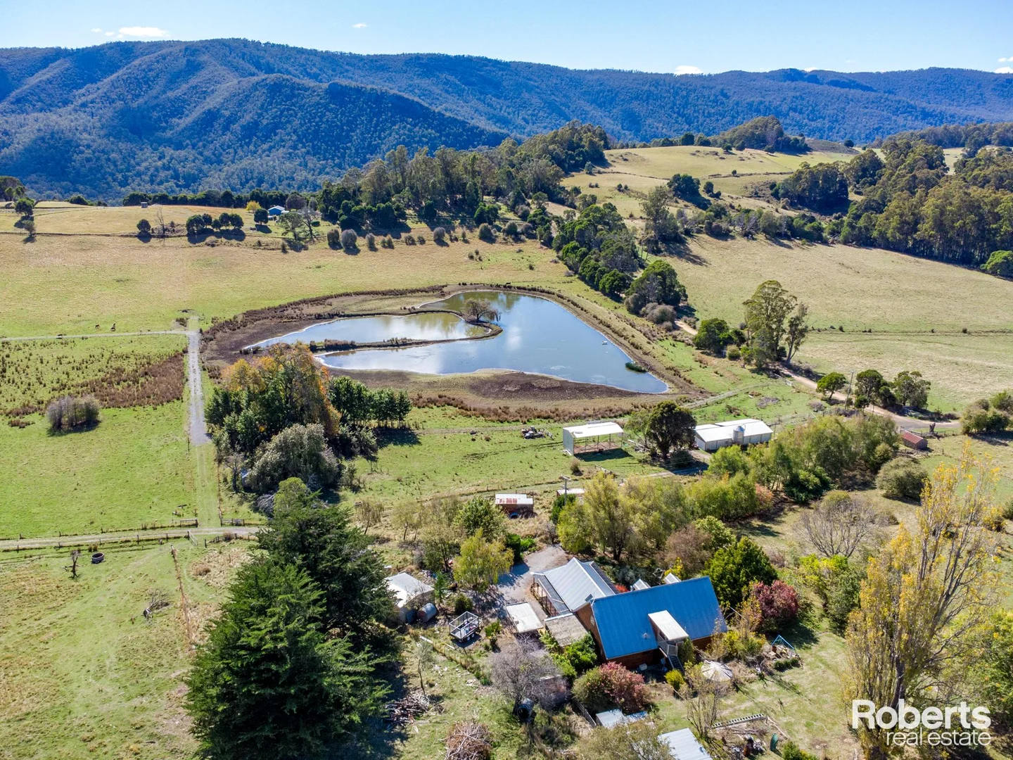 Additional image 10 of 55 Miles Road, Mole Creek TAS 7304