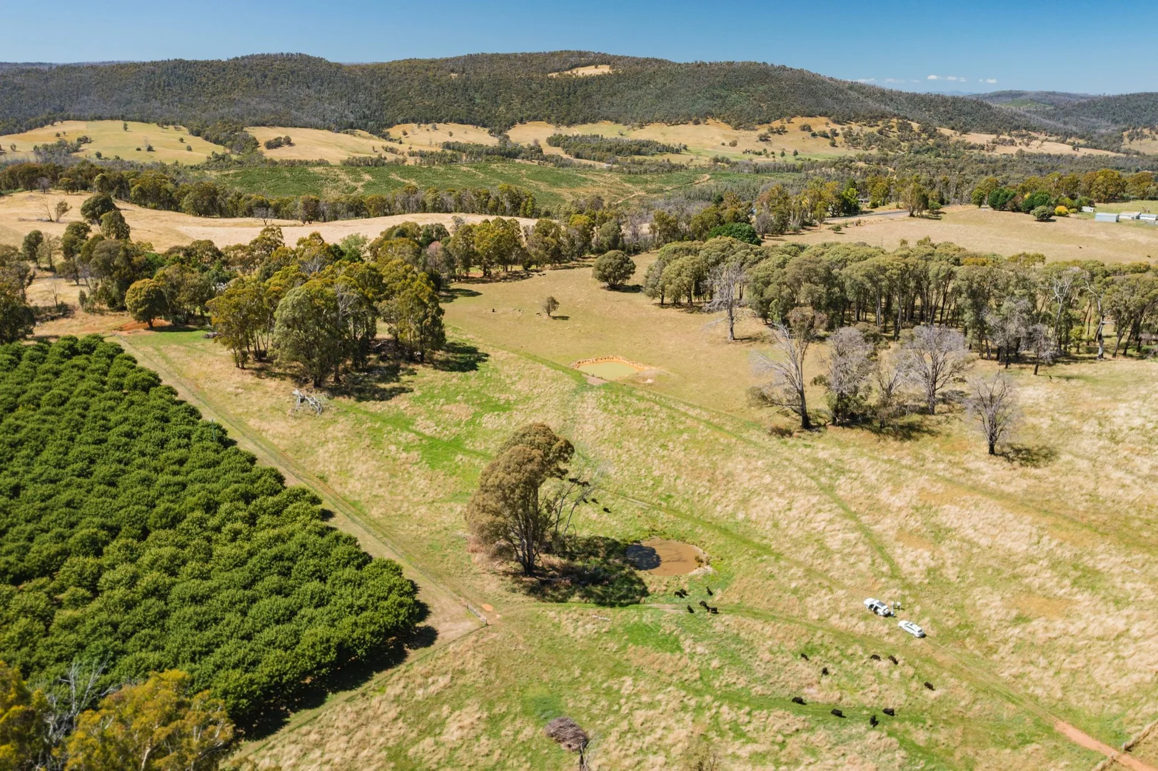 Additional image 9 of 1 Willigobung Road, Tumbarumba NSW 2653