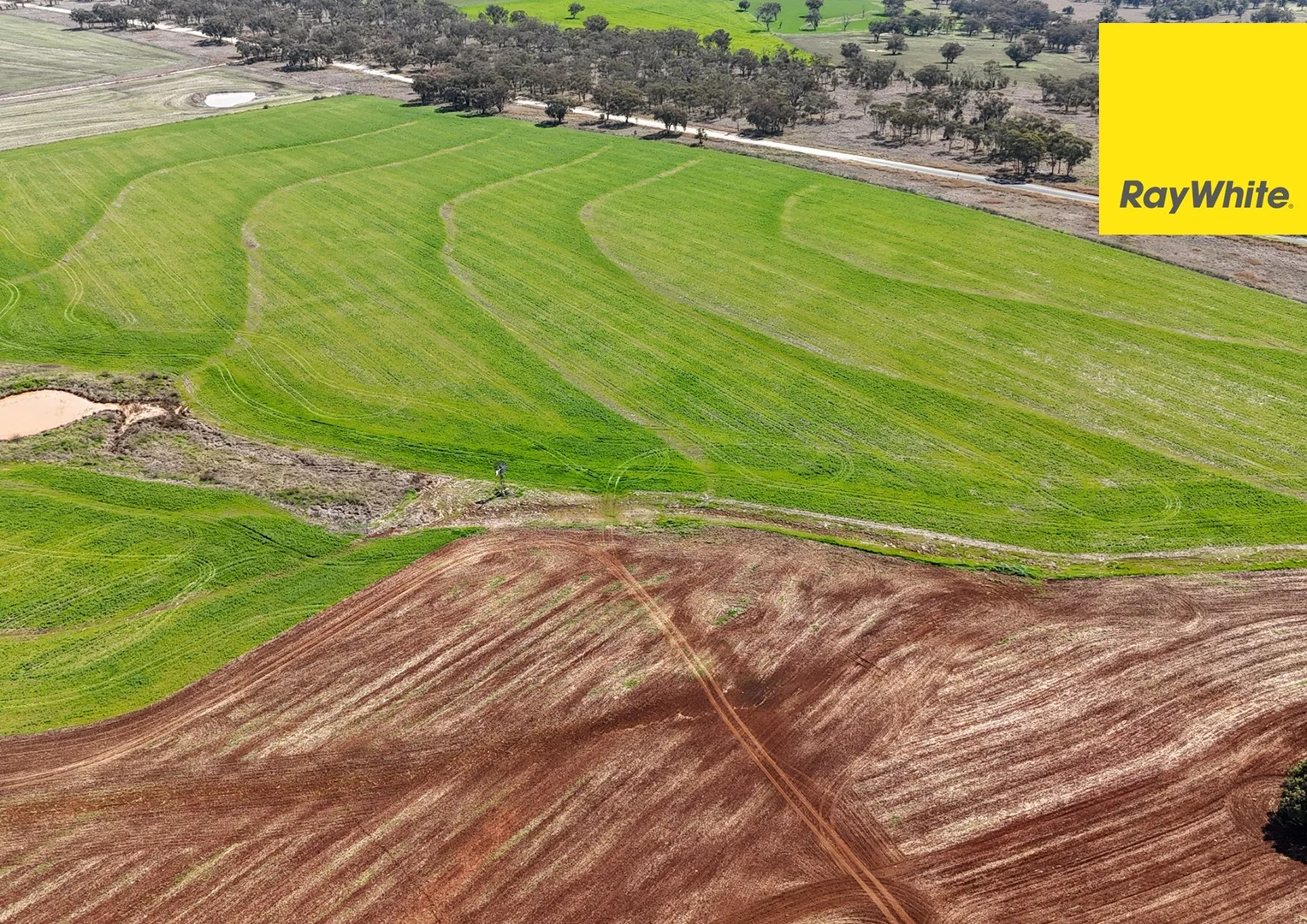 Additional image 4 of 'Colorado' Delungra Bypass Road, Delungra NSW 2403