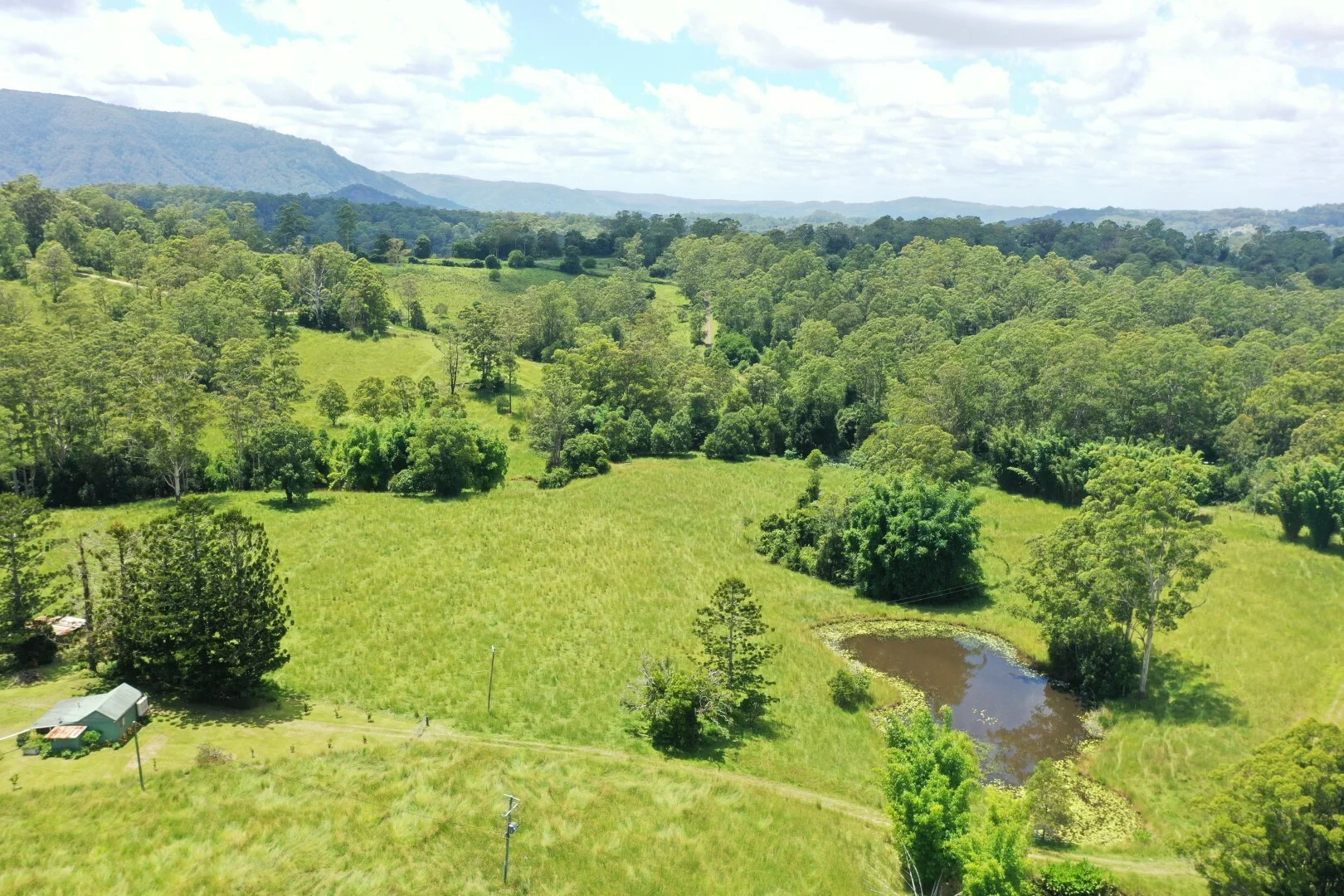 Additional image 7 of 66 Old Tweed Road, Wadeville NSW 2474