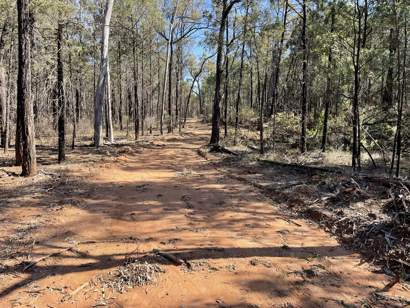 Additional image 4 of 921 Westport Rd, Narrabri NSW 2390