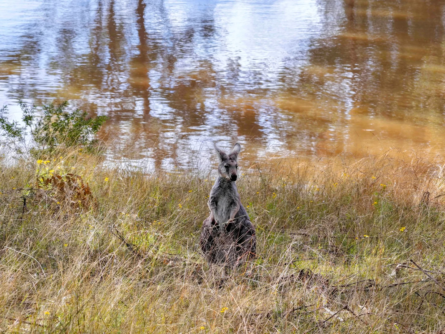 Additional image 30 of 159 Donalds Range Road, Razorback NSW 2571