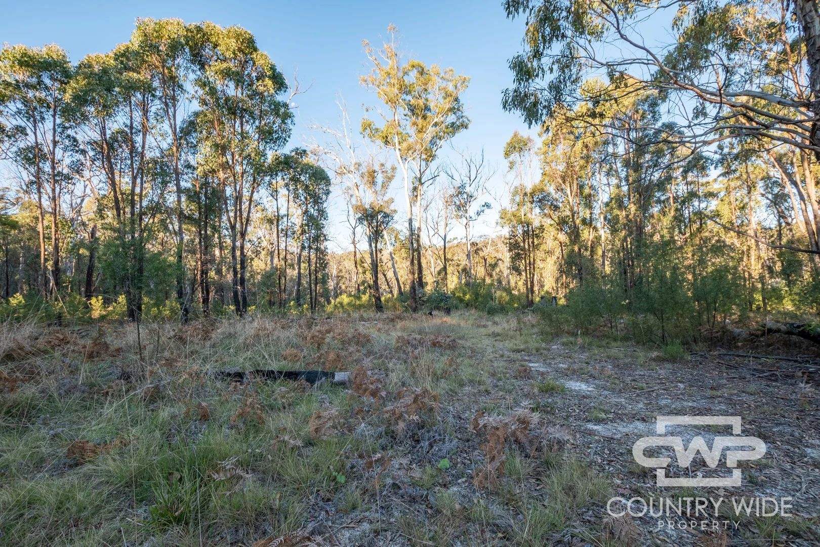 Additional image 15 of 2 Carrot Farm Road, Deepwater NSW 2371