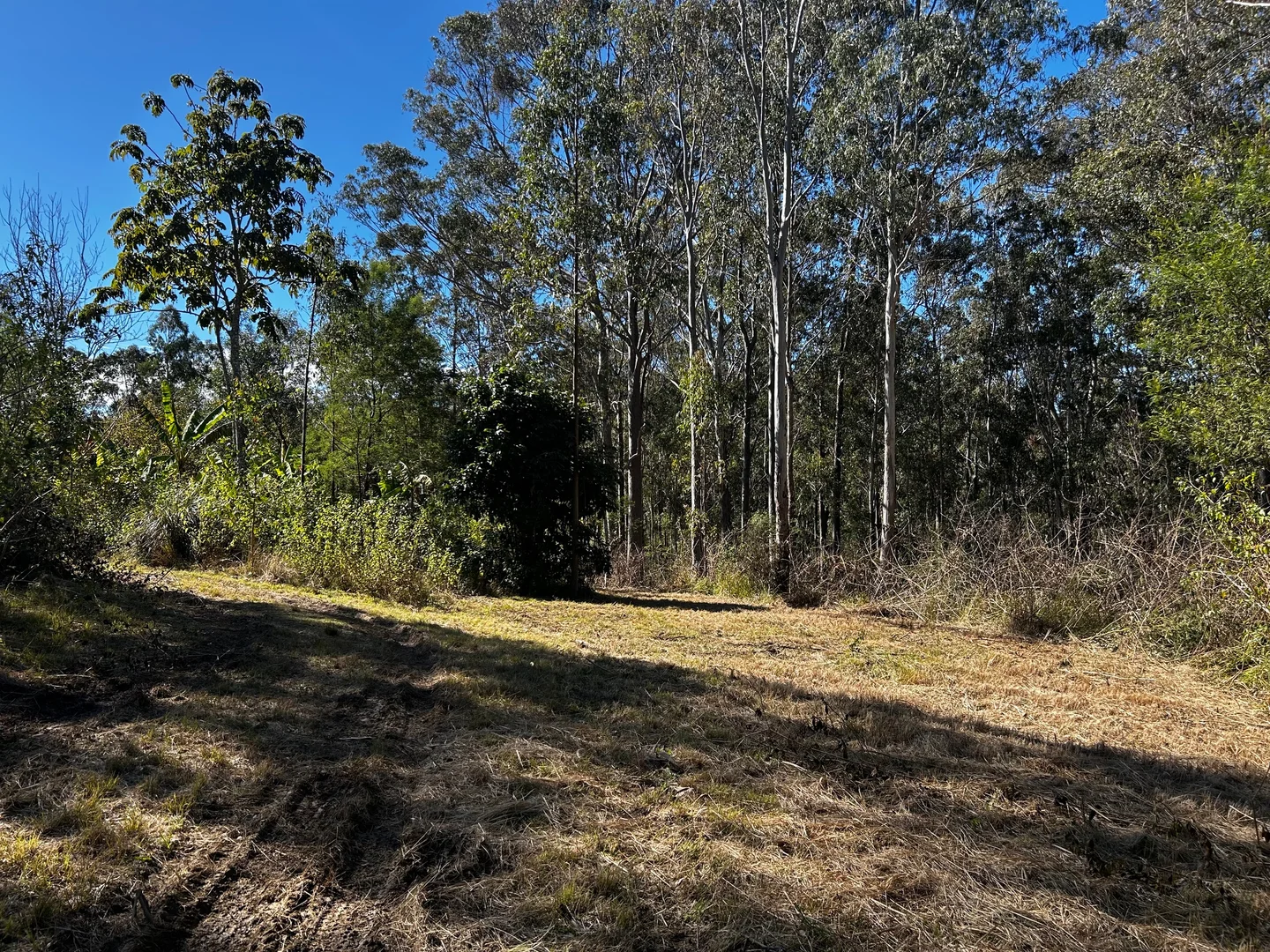 Additional image 7 of 506 Old Lawrence Road, Casino NSW 2470