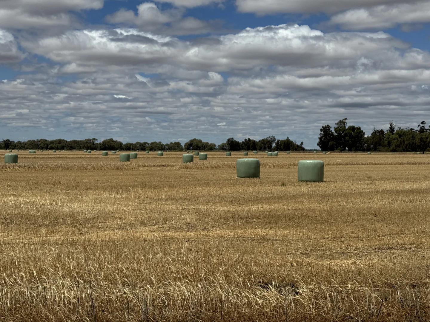 Additional image 7 of 819 Mayrung Road, Deniliquin NSW 2710