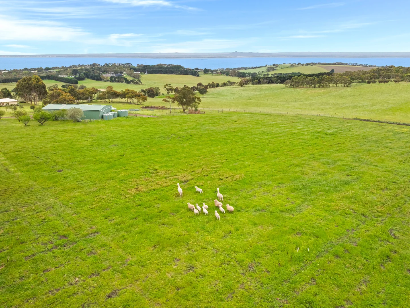 Additional image 13 of 111-119 Settlement Road, Drysdale VIC 3222