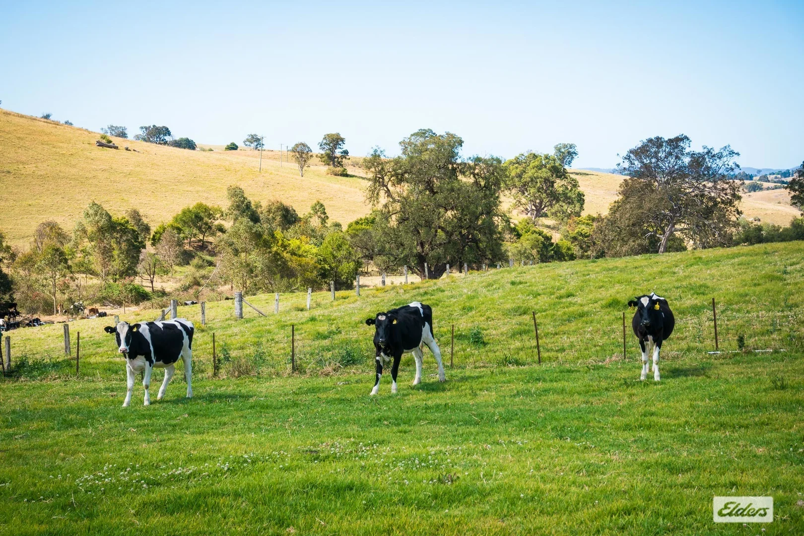 Additional image 69 of 354 Tantawangalo Mountain Road, Candelo NSW 2550