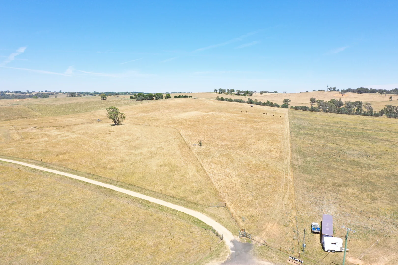Additional image 11 of 195 Wambanumba Drive, Young NSW 2594