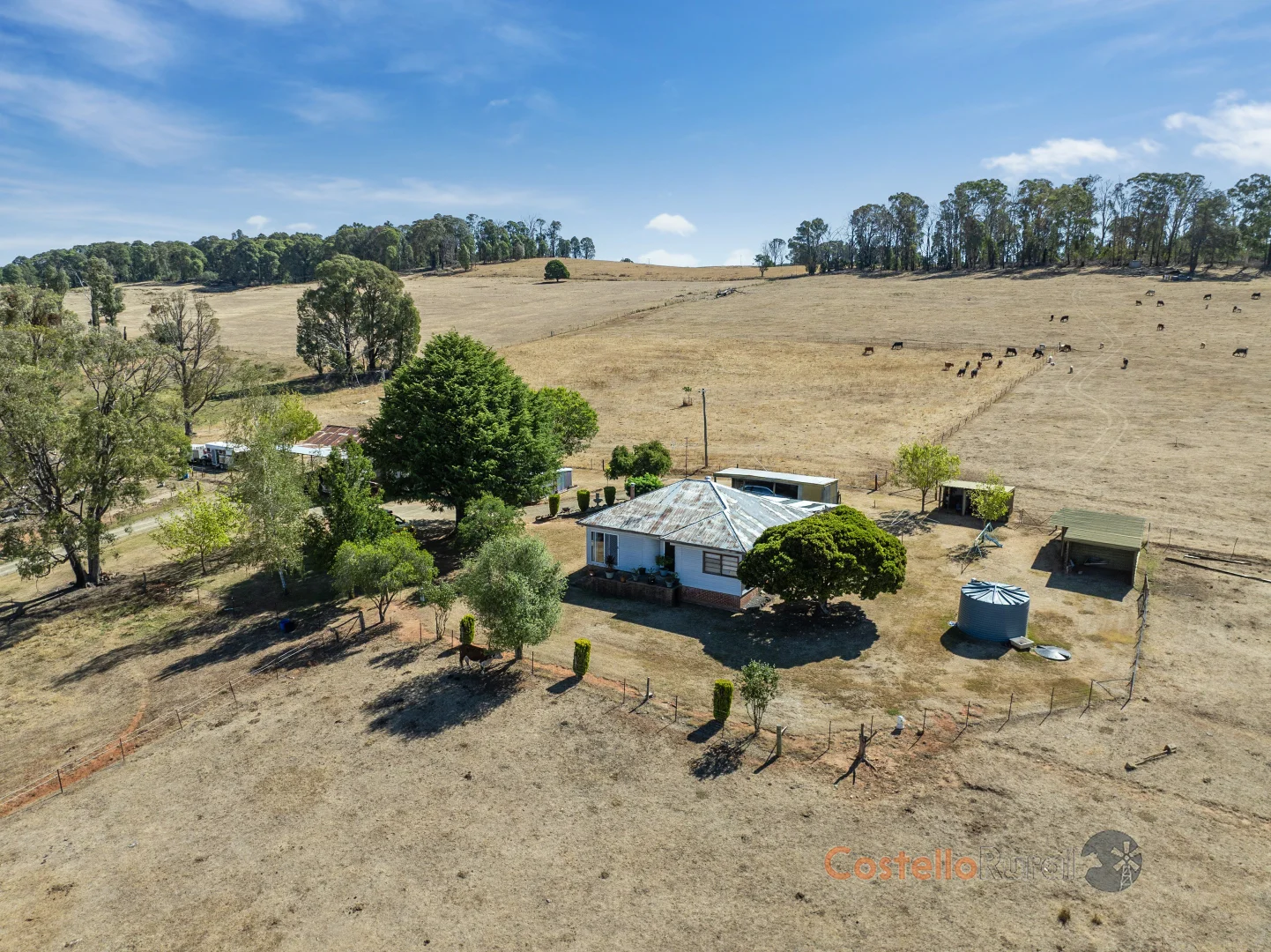 Additional image 26 of 195 Willigobung Road, Willigobung NSW 2653