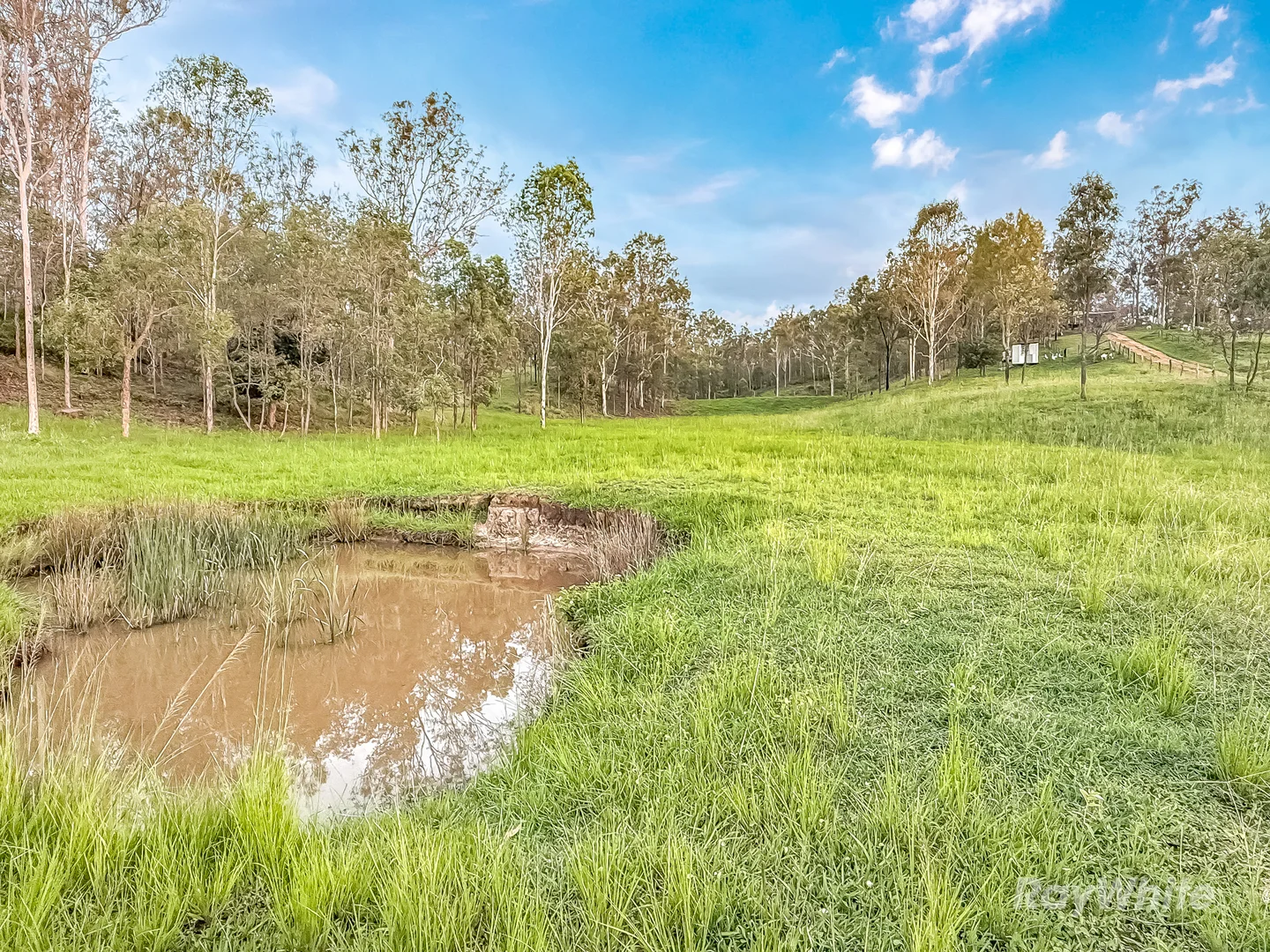 Additional image 34 of 199 Friarbird Drive, Moolboolaman QLD 4671