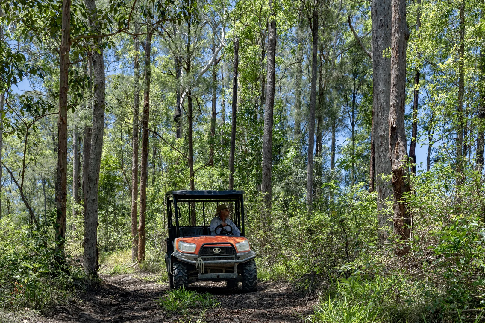 Additional image 9 of 148 Pine Log Road, Doon Doon NSW 2484