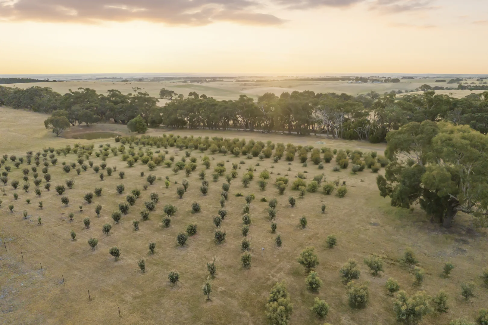 Additional image 23 of 366 Savage Hill Road, Dereel VIC 3352