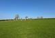 Additional image 58 of Ponthirwaun, Cardigan, SA43