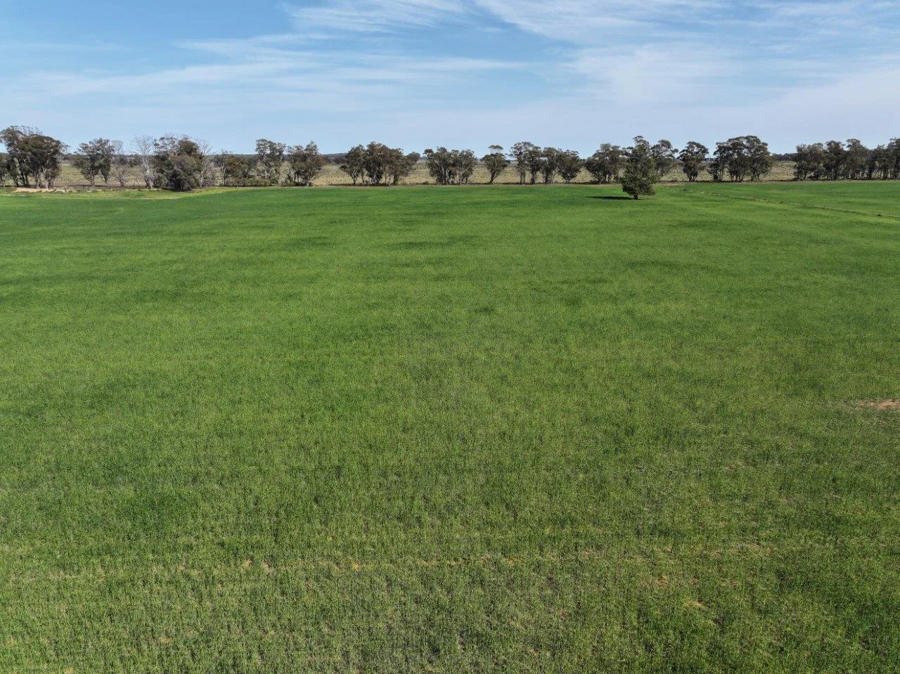 Additional image 10 of 'Dundee', 122 Winters Lane, West Wyalong NSW 2671