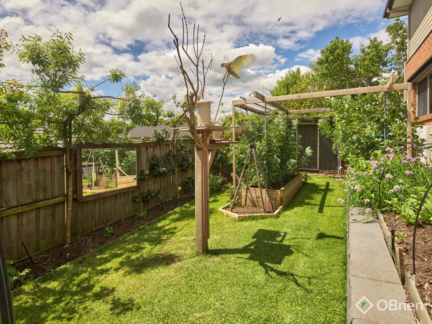 Additional image 15 of 9 Finch Court, Drouin VIC 3818