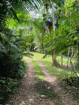 Additional image 16 of 8 Mission Cir, Wongaling Beach QLD 4852