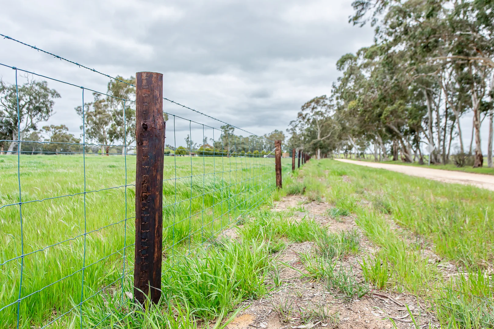 Additional image 9 of 520 Walkington Hills Road, Bangham SA 5268