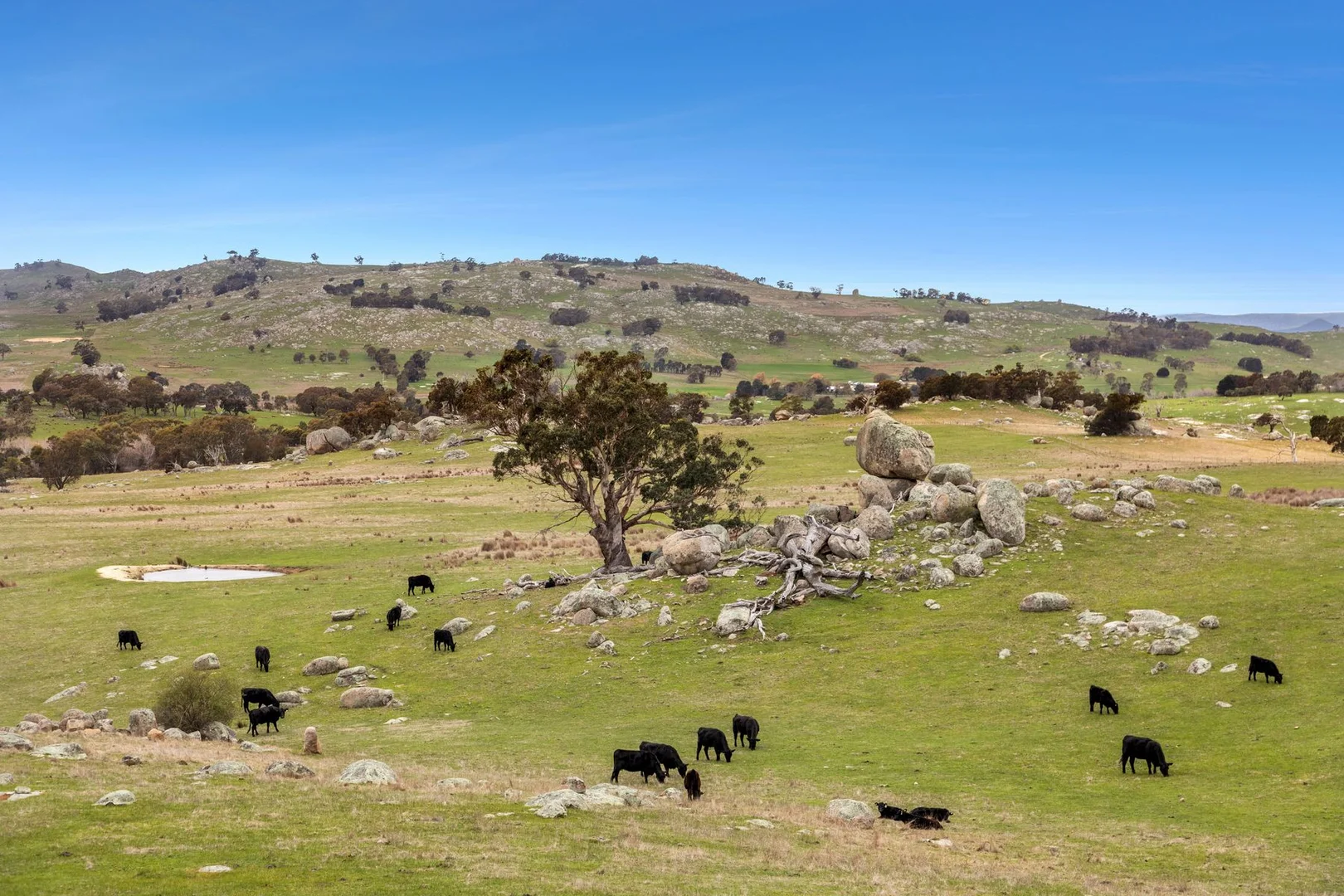 Additional image 5 of 335 Tooborac-Baynton Road, Tooborac VIC 3522