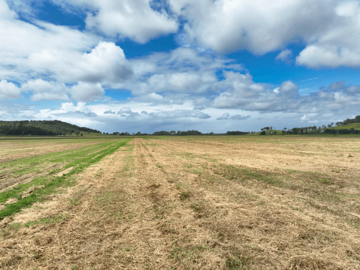 Additional image 6 of 360 Bungawalbin Whiporie Road, Bungawalbin NSW 2469