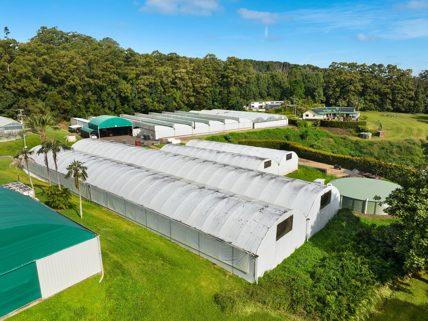 Additional image 17 of 659 Federal Drive, Federal NSW 2480