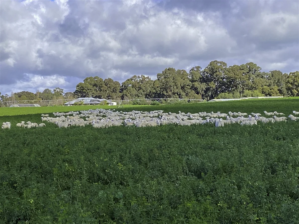 Additional image 15 of 1061 McEwen Road, Kyabram VIC 3620