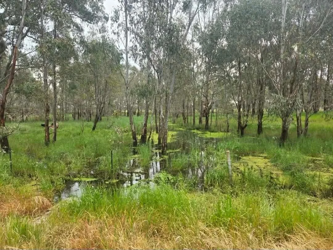 Additional image 24 of 827 Benalla-Tatong Rd, Benalla VIC 3672