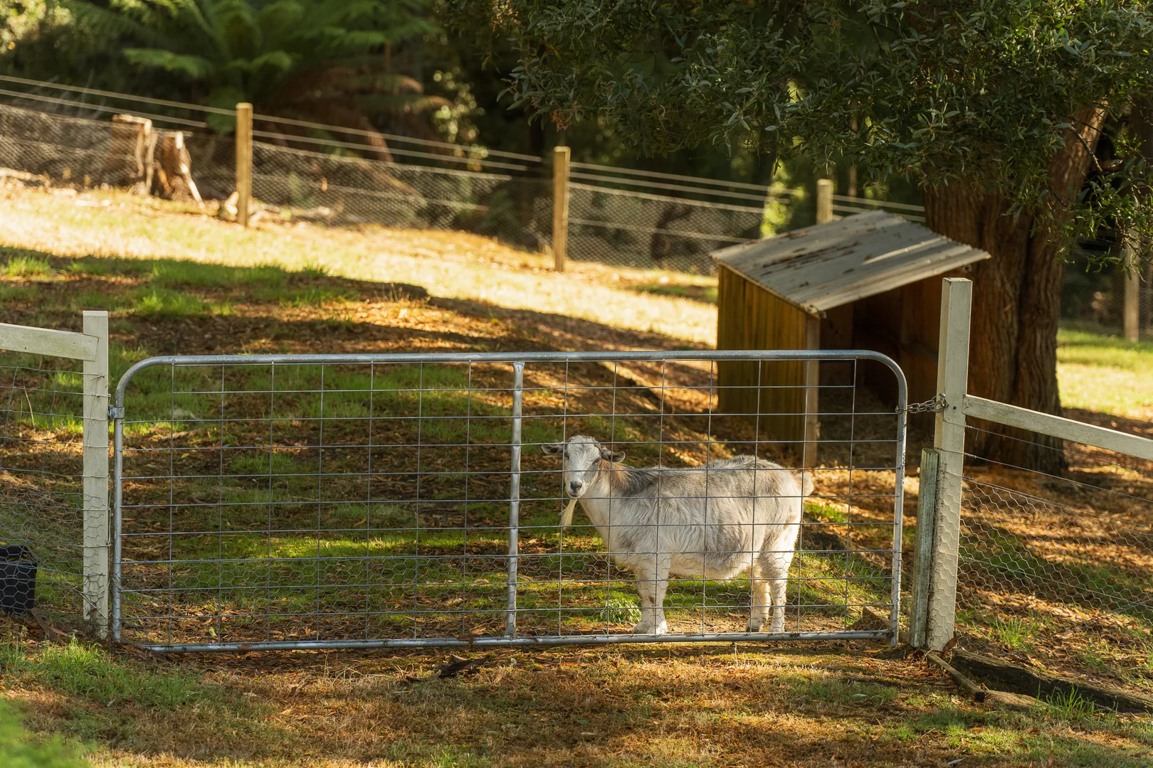 Additional image 34 of 66 Laycock Road, Spreyton TAS 7310