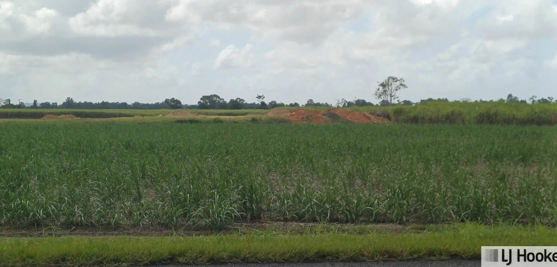 Additional image 17 of Lot 1 Jack Evans Drive, Silky Oak QLD 4854