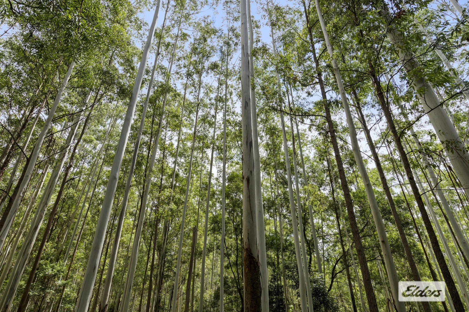 Additional image 26 of 354 Kunghur Creek Road, Kunghur Creek NSW 2484