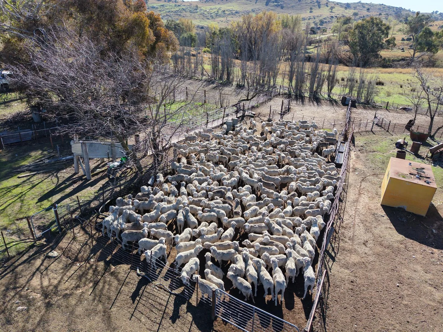 Additional image 9 of 333 Mount Darling Road, Reids Flat NSW 2586