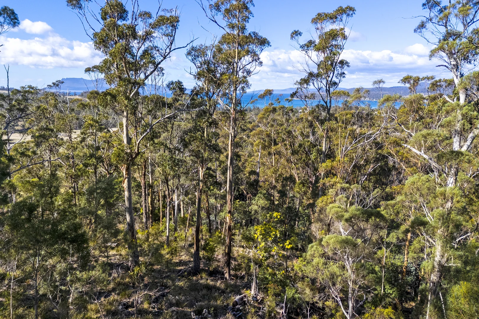 Additional image 7 of 196 Alma Road, Orford TAS 7190