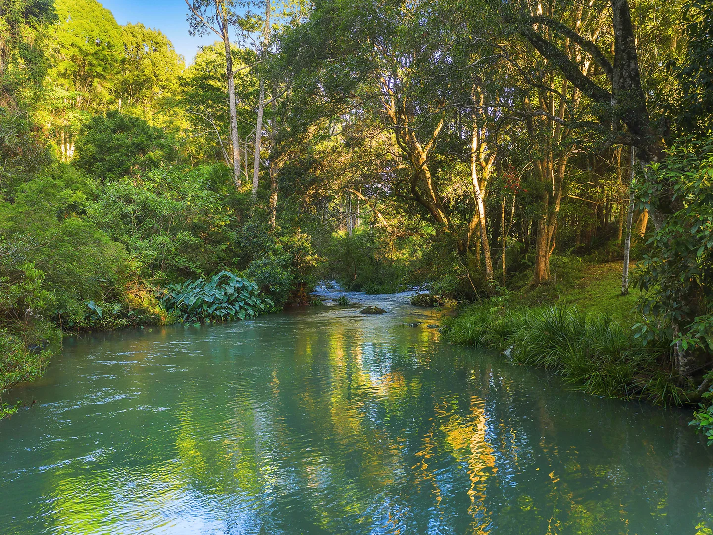 Additional image 33 of 777 Wilsons Creek Road, Wilsons Creek NSW 2482