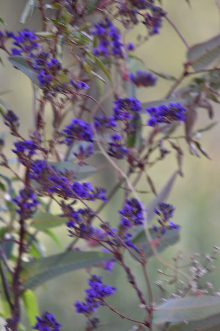 Additional image 23 of 1124 WARKTON ROAD, Coonabarabran NSW 2357