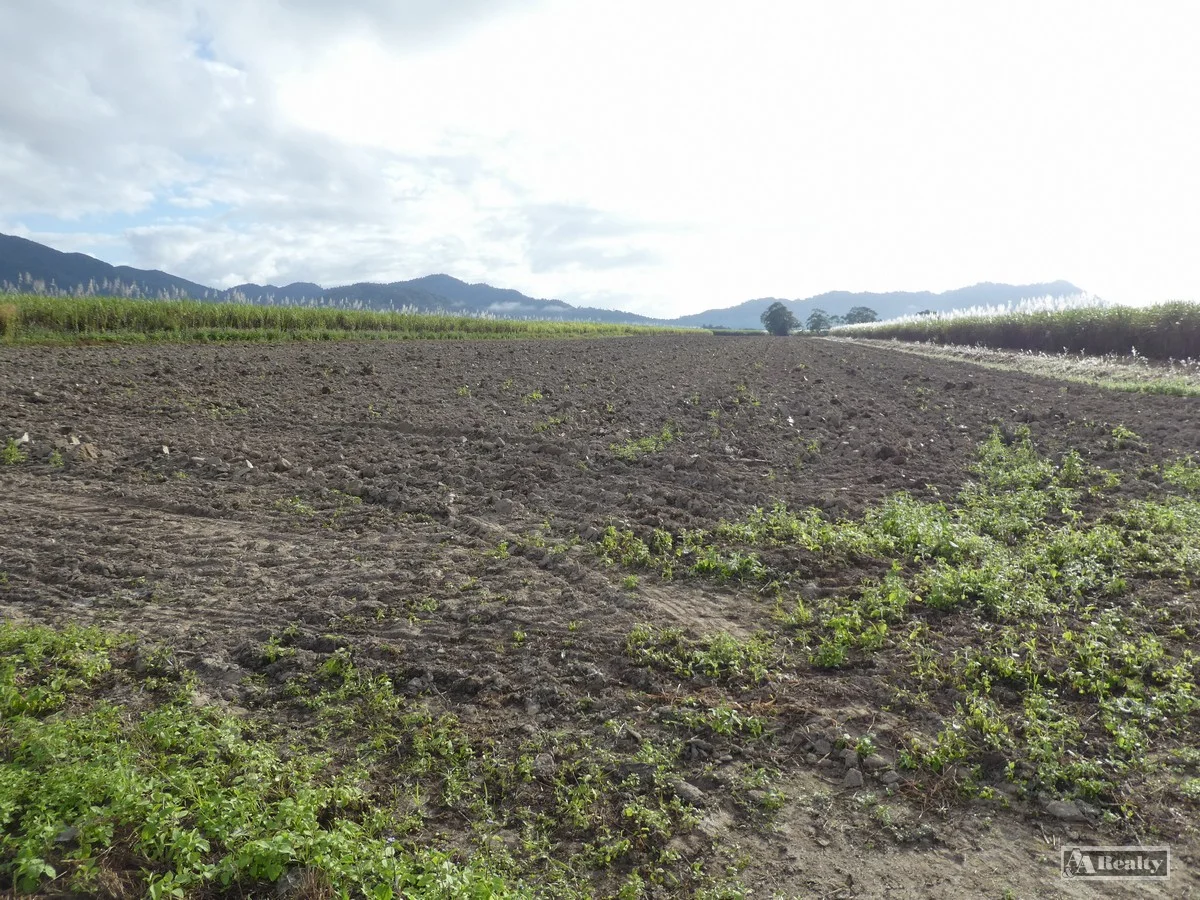 Additional image 7 of Midgenoo QLD 4854