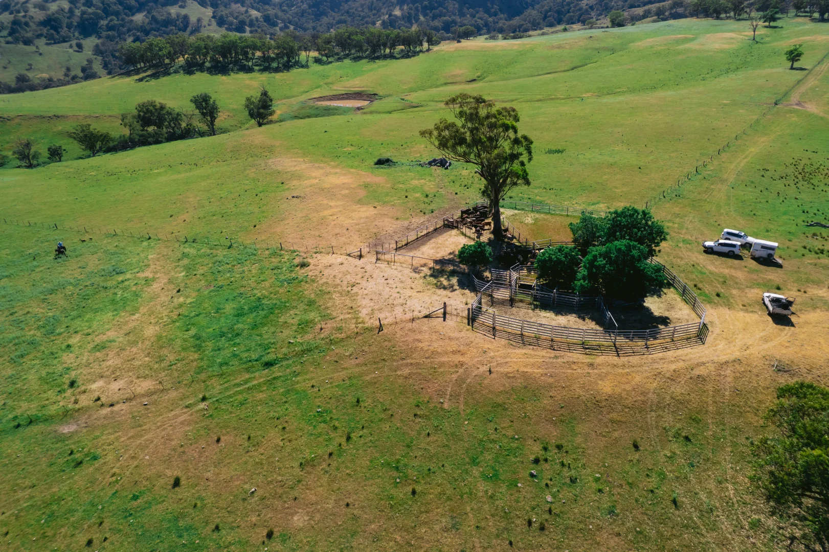 Additional image 18 of 7390 New England Hwy, Willow Tree NSW 2339