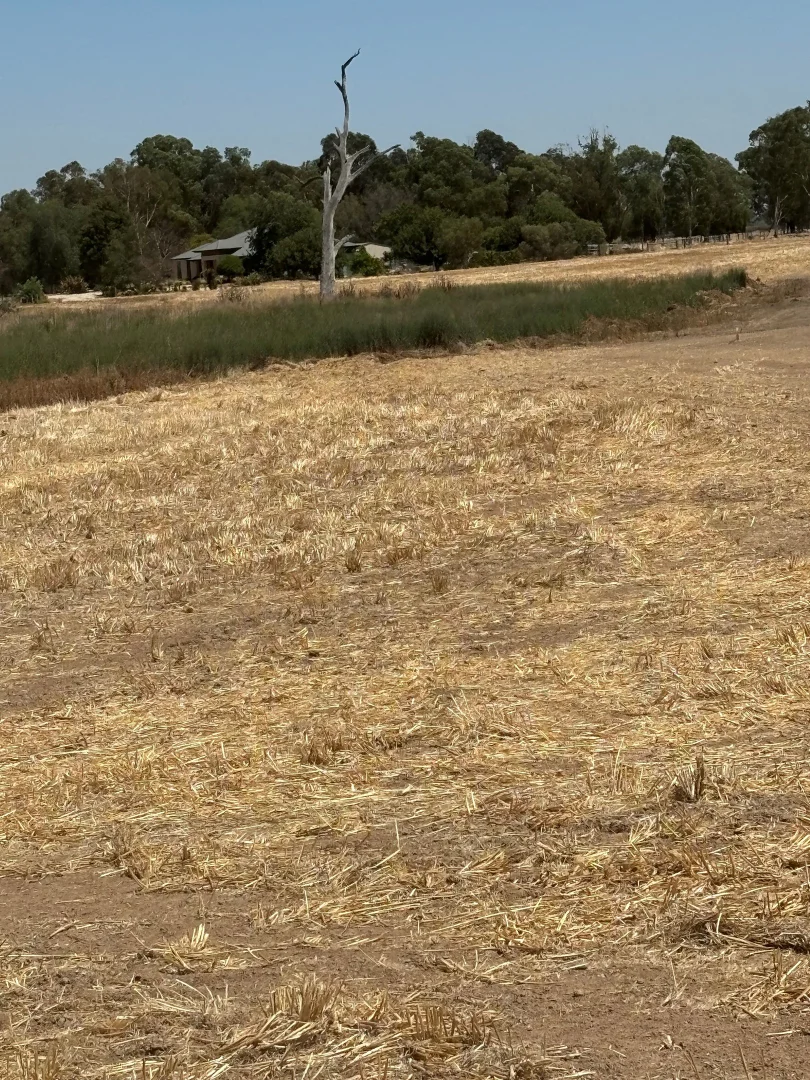 Additional image 31 of 2396 Webb Road, Nanneella VIC 3561