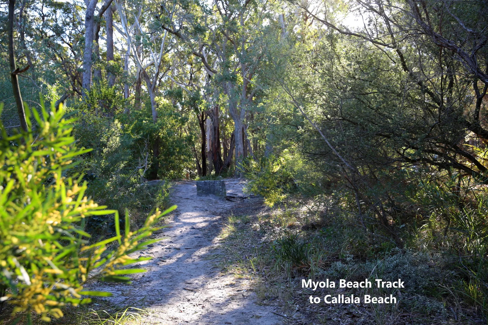 Additional image 21 of 8/123 Myola Rd, Myola NSW 2540