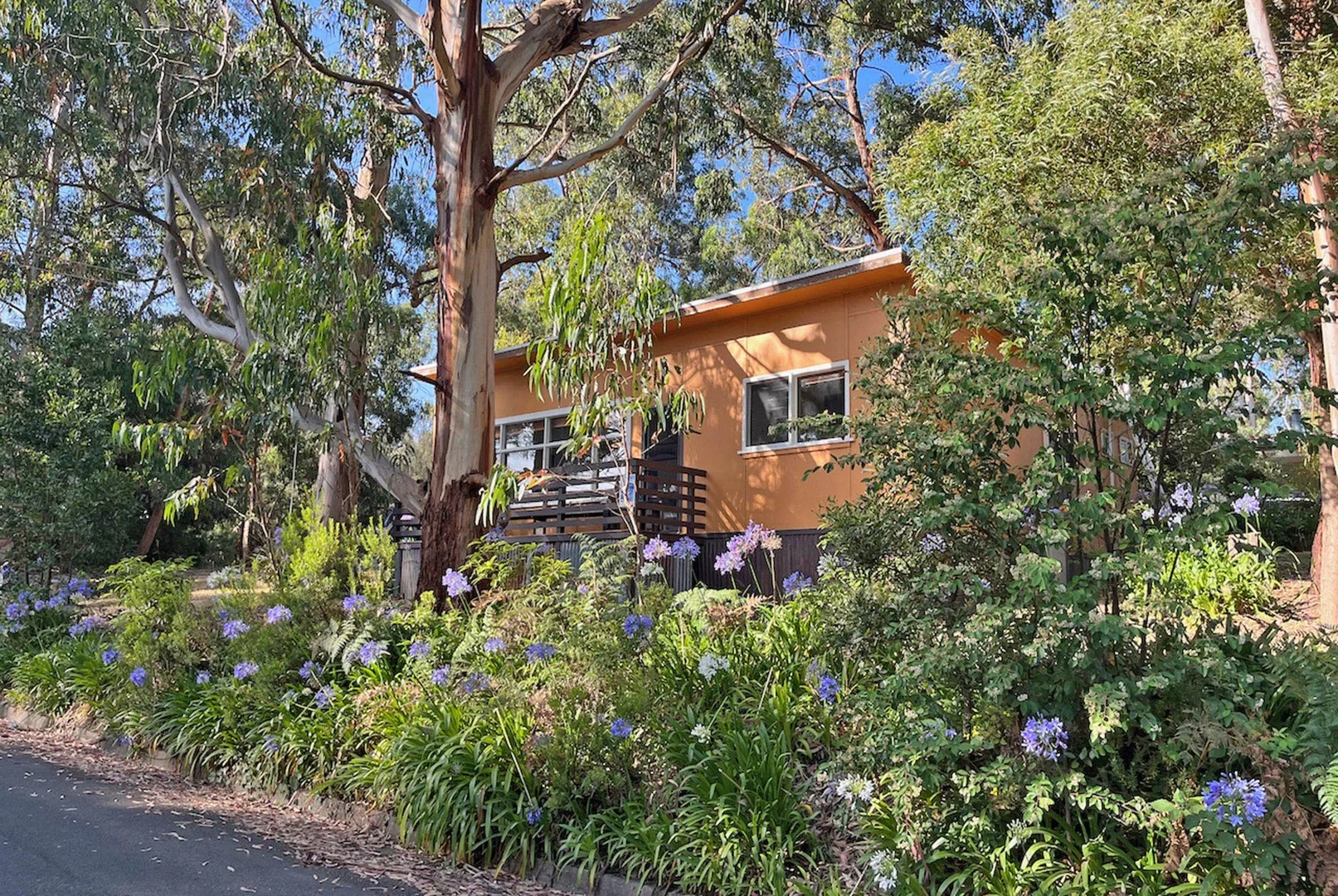 42 Old Coach Road, Skenes Creek VIC 3233