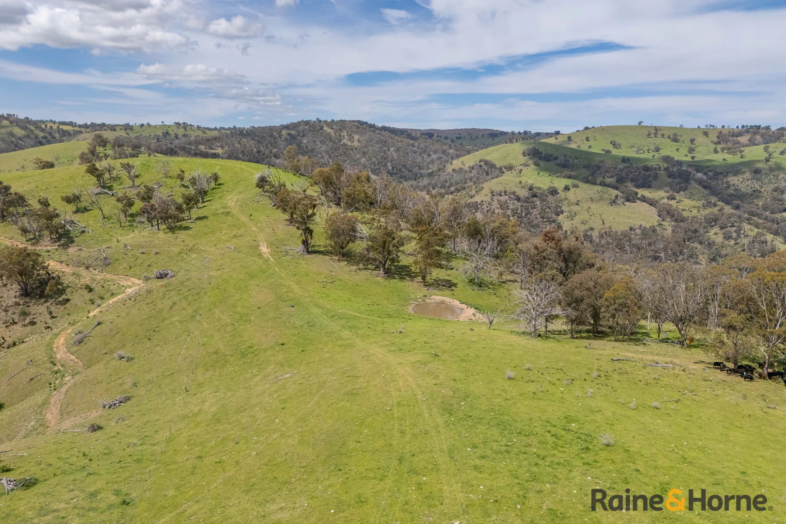 Additional image 9 of Lot 4/2553 Campfire Road, Walcha NSW 2354
