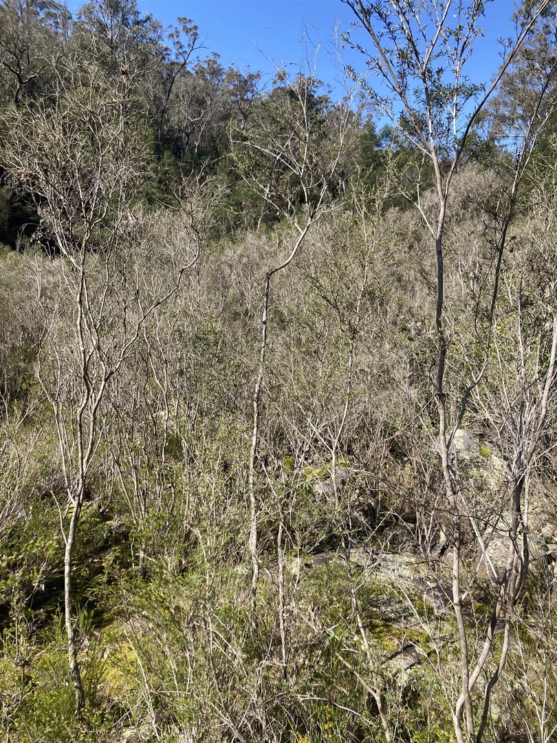 Additional image 22 of 138 Elliot Road, Valencia Creek VIC 3860