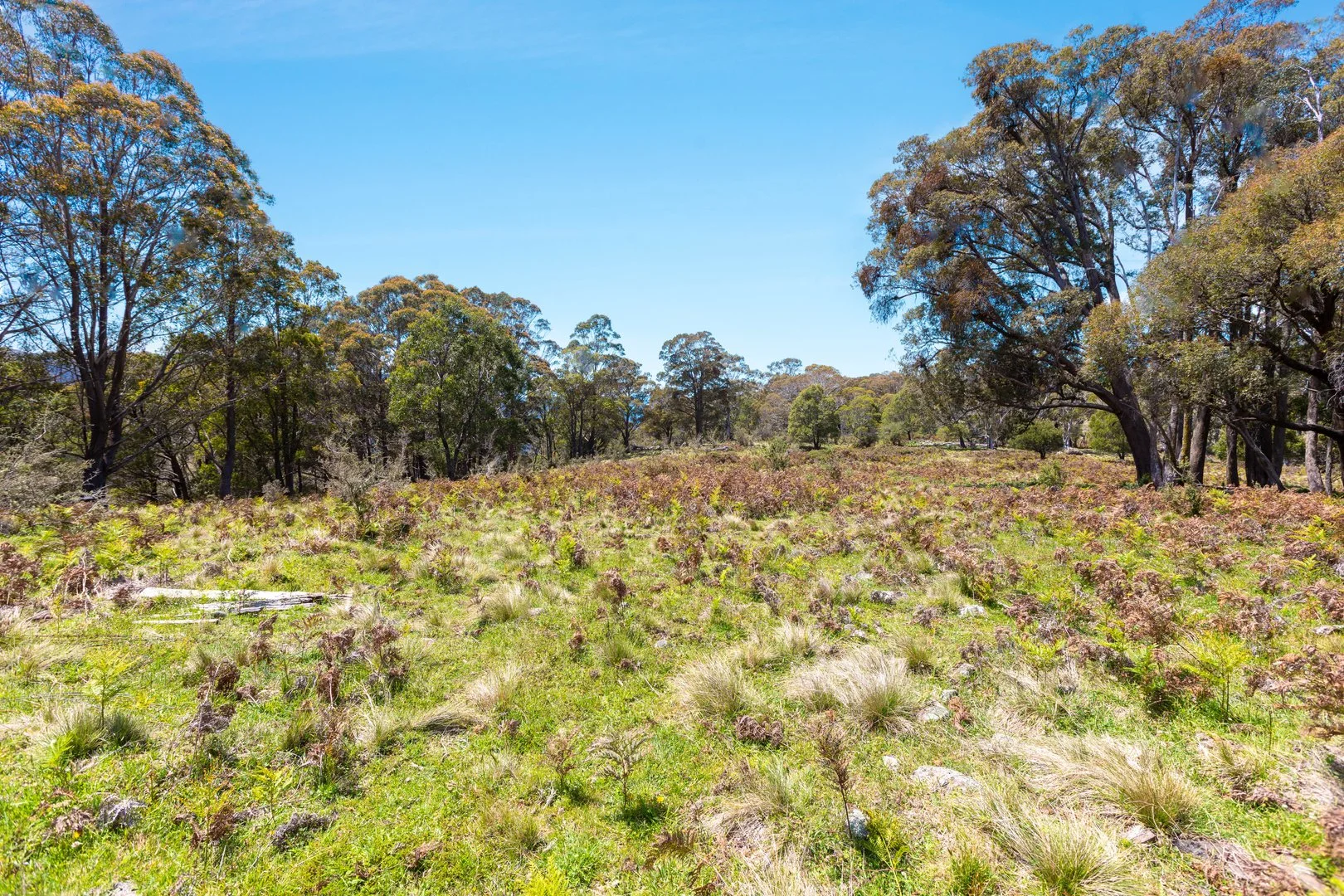 Additional image 15 of Thornleigh Coolangubra Road, Cathcart NSW 2632
