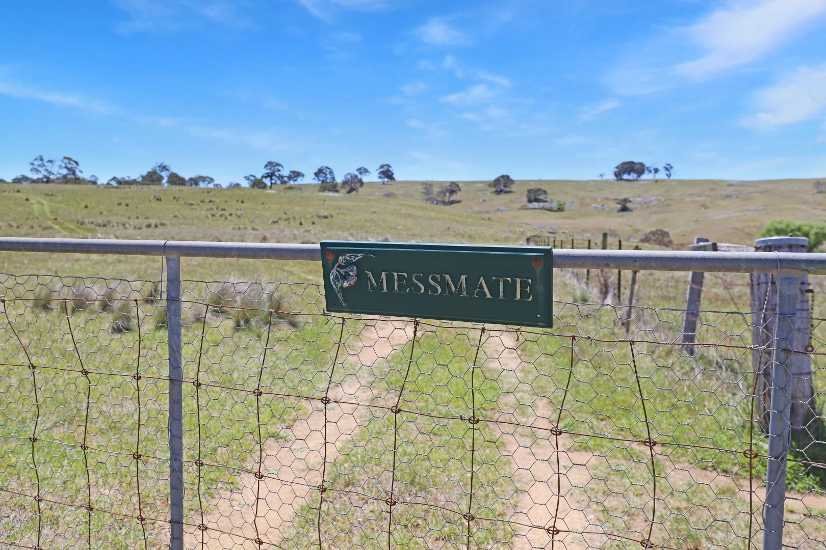 Additional image 31 of Lot 50 Delegate Road, Bombala NSW 2632