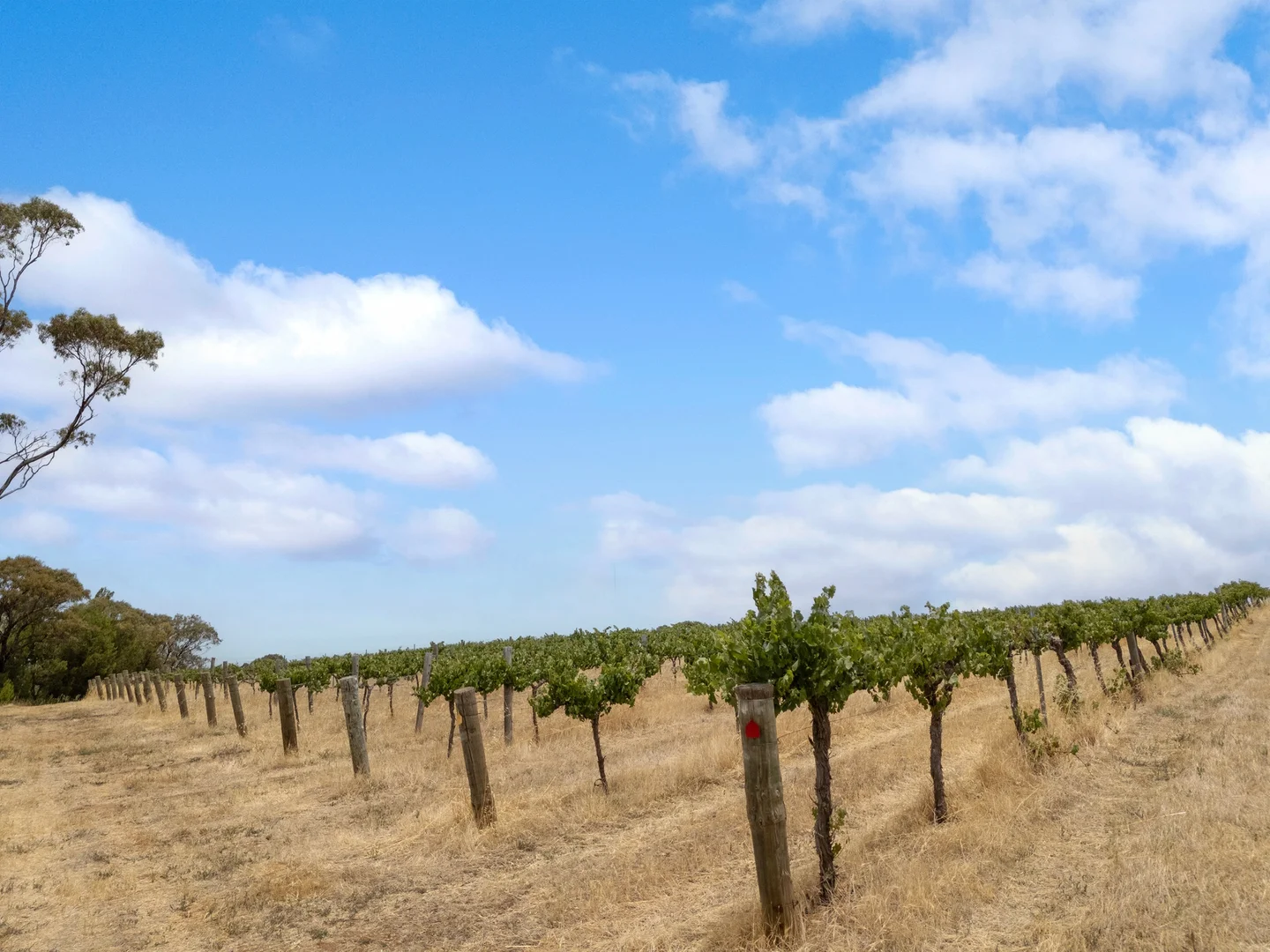 Additional image 9 of Lot 15 Horrocks Highway, Auburn SA 5451