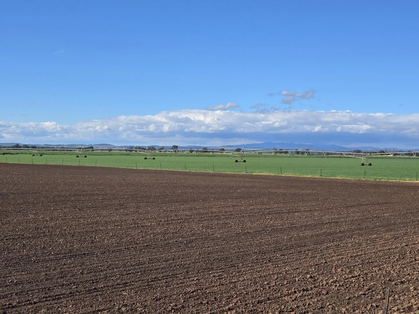 Additional image 5 of 448 Nangar Road, Canowindra NSW 2804