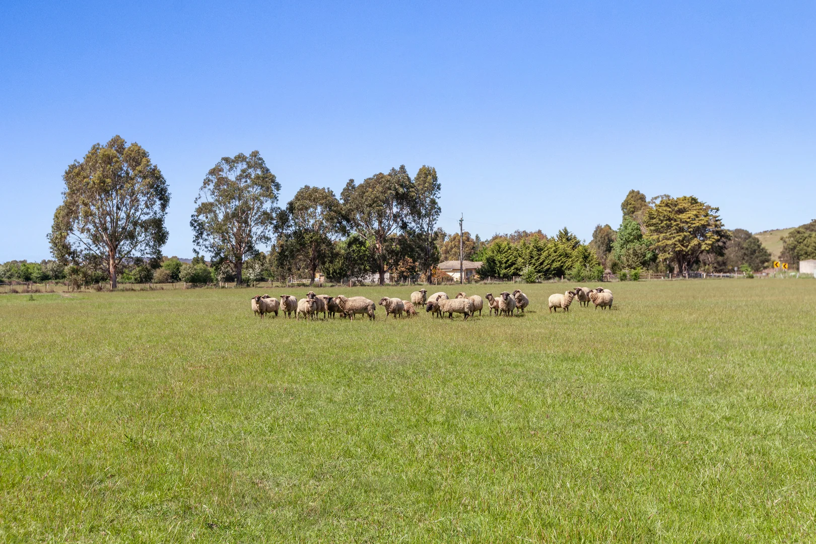 Additional image 15 of 1180 Wallan Whittlesea Road, Upper Plenty VIC 3756